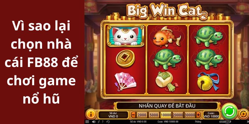 Vì sao lại chọn nhà cái FB88 để chơi game nổ hũ